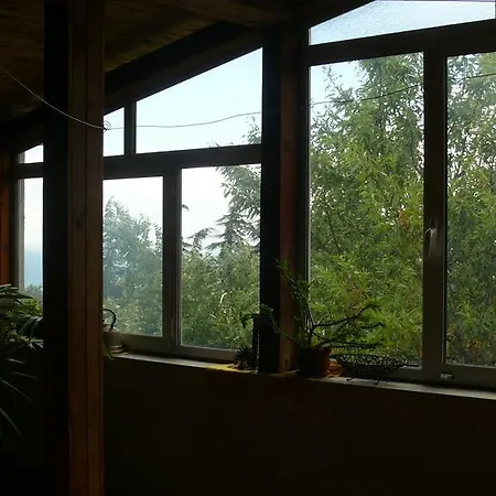 Climate Varna